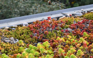the cost of Capel Llanilltern green roof installation