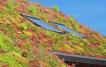 Capel Llanilltern living roof systems